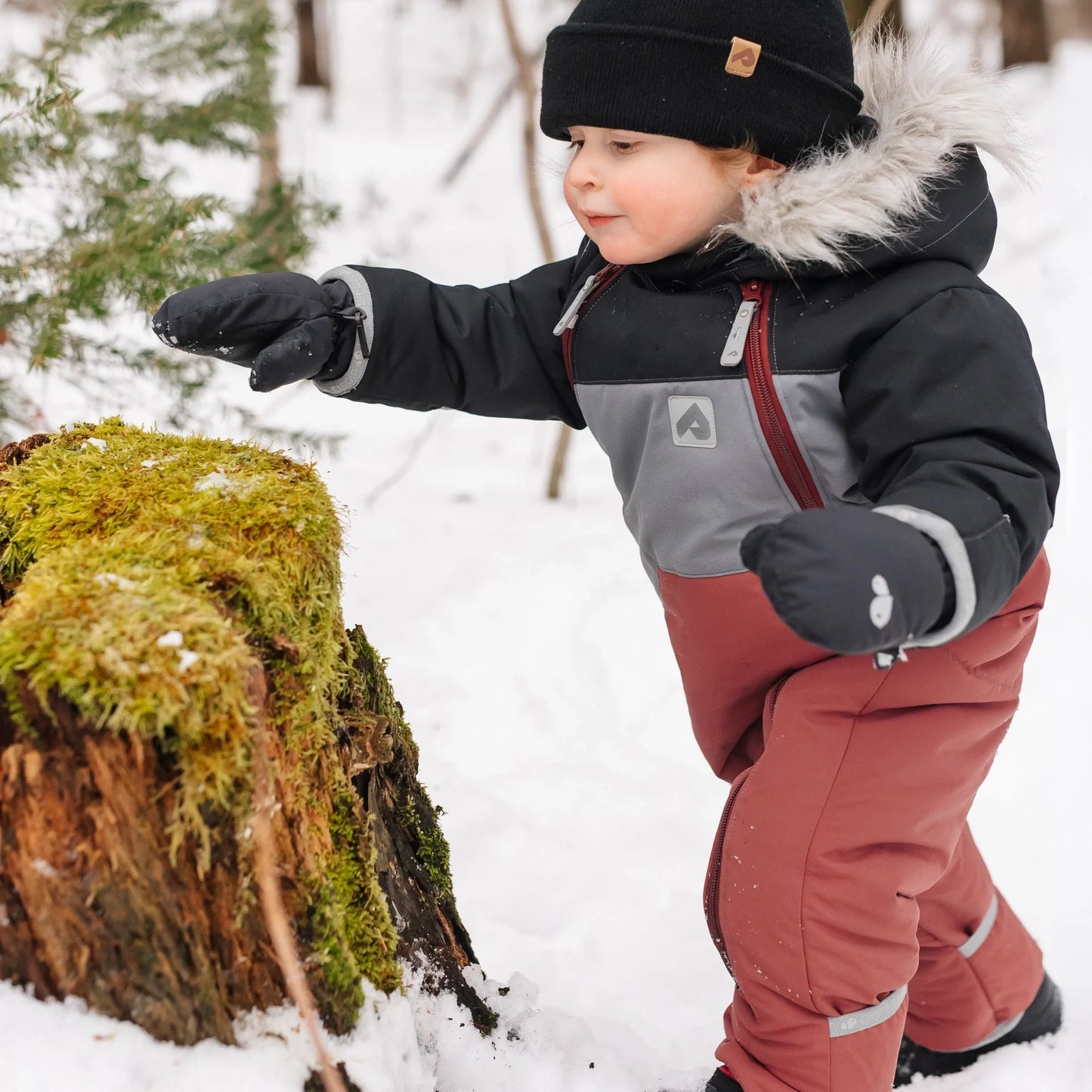 Perlimpinpin - One Piece Baby Snowsuit - Black + Slate + Grenat