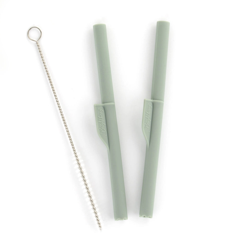 Brightberry - Silicone Straws with Stopper (Set of 2)
