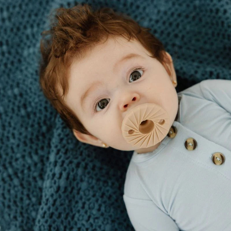 Holland Pop Pacifier - Stage 1/0M+ - Blush/Smash Cake