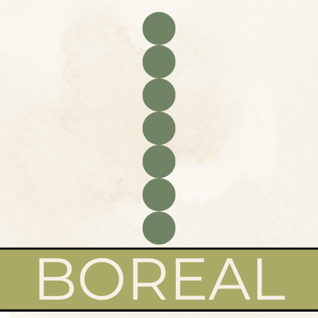 Little Locals - - Pacifier + Toy Clip