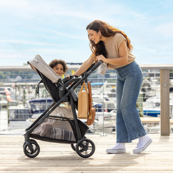 Evenflo Omni Signature Travel System with LiteMax Infant Car Seat (Porto Black)