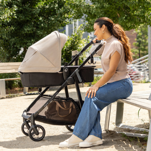 Evenflo Omni Signature Travel System with LiteMax Infant Car Seat (Porto Black)