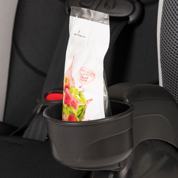 Evenflo - Chase Plus 2-in-1 Booster Car Seat (Huron Black)