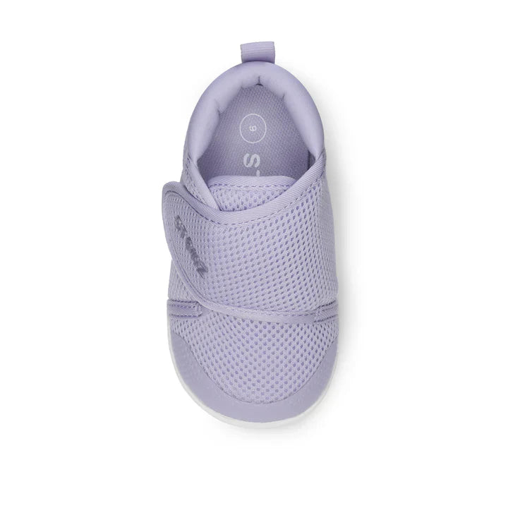 Stonz - Baby Cruiser - Haze Purple