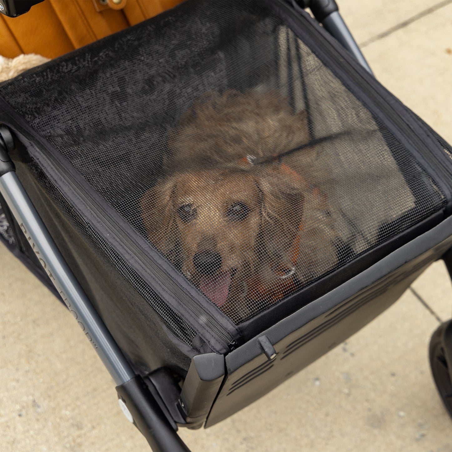 Evenflo - Pivot Troop Child and Pet Modular Travel System (Rhodesboro Black)