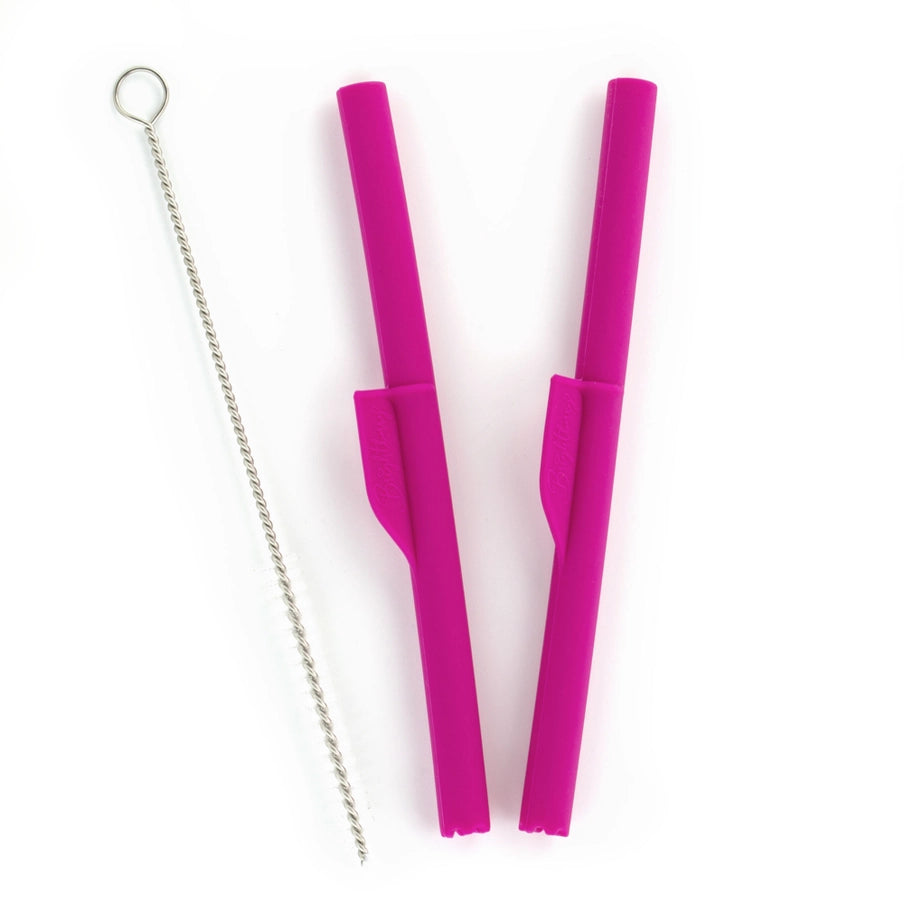 Brightberry - Silicone Straws with Stopper (Set of 2)