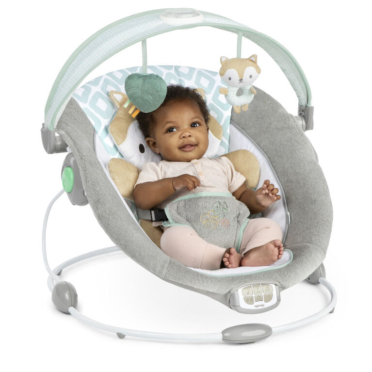 Ingenuity InLighten Bouncer - Kitt