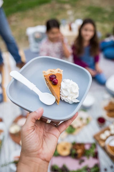 Re-Play Flat Plate