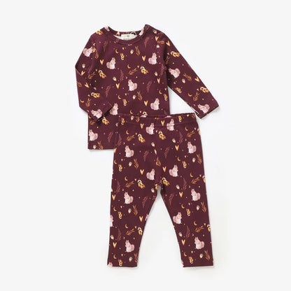 Nutty for Fall 2 Piece Set- 100% Organic Cotton Baby Outfit