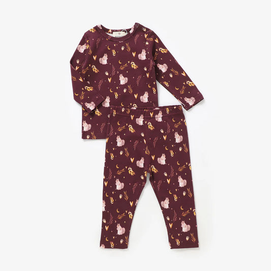 Nutty for Fall 2 Piece Set- 100% Organic Cotton Baby Outfit